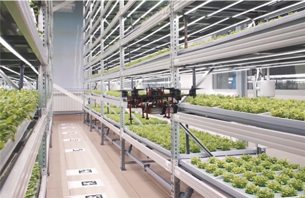 自主龙芯CPU变革传统农业！全国产的智慧草莓大棚