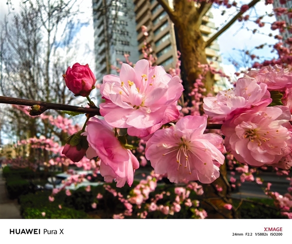 华为Pura X上手：跟纯血鸿蒙简直是绝配