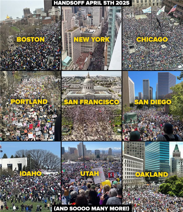 马斯克遭政治反噬