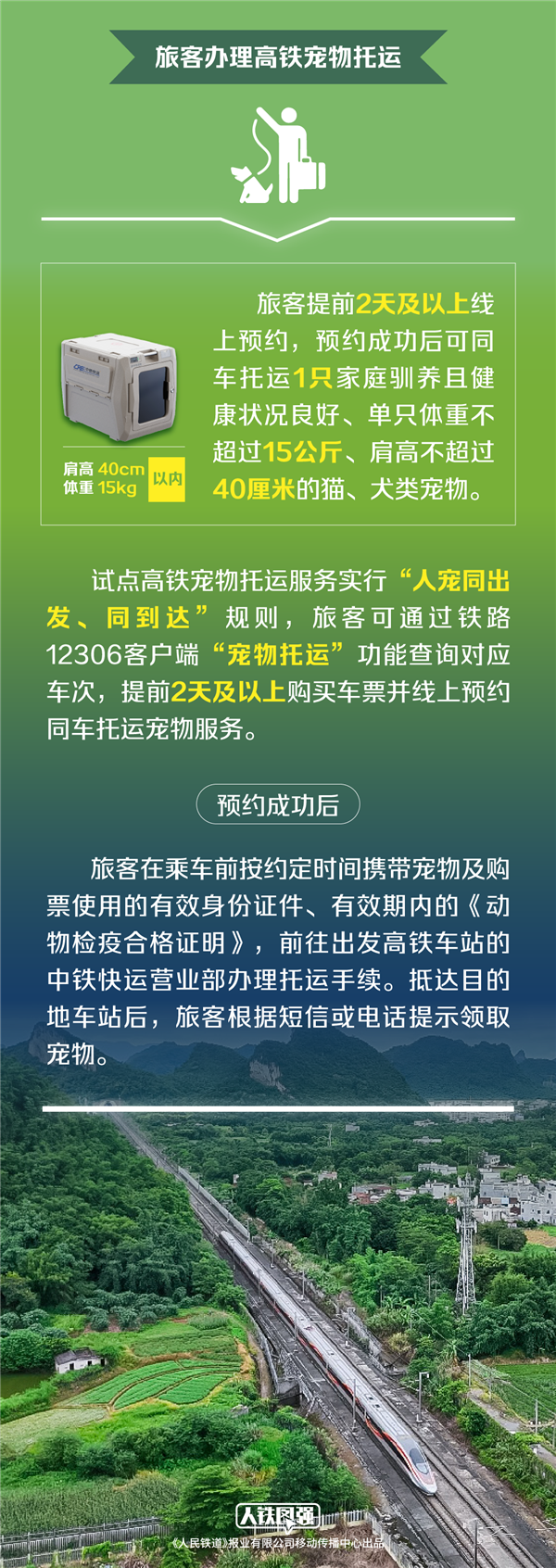 高铁托运宠物出发：首位幸运“旅客”是一只狸花猫！