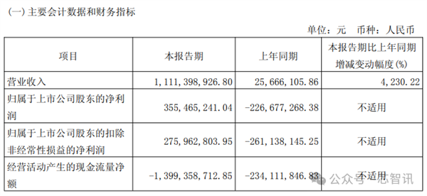 美国送助攻！寒武纪Q1收入暴涨4230.22％ 连续两个季度盈利