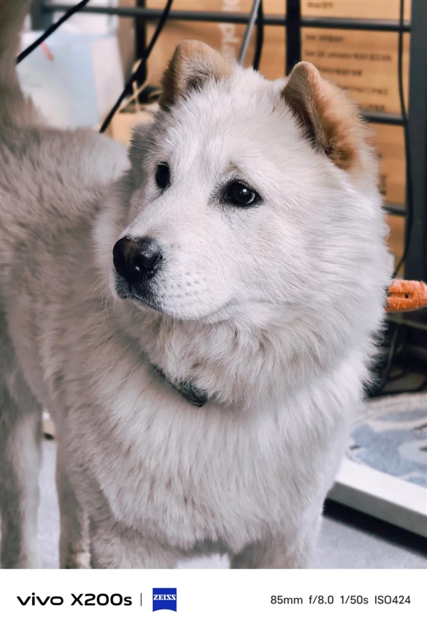 vivo手机上能收到iPhone的短信 蓝厂这波操作给我看傻了