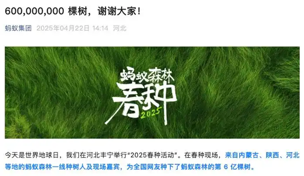 中国网友“手机种树”9年 蚂蚁森林已达6亿棵