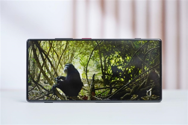 真全面屏Ultra！努比亚Z70S Ultra摄影师版图赏