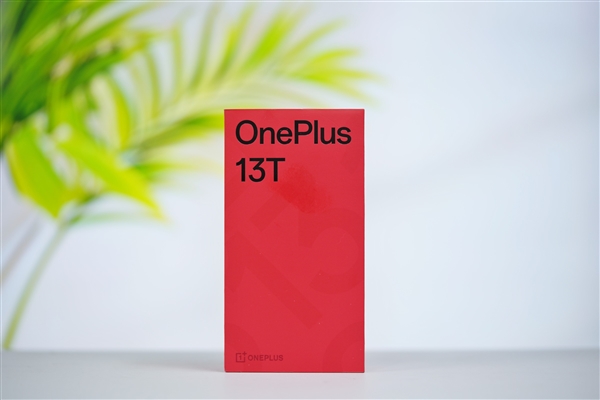性能最强小屏旗舰！一加13T图赏