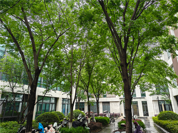 2899元的一加13T 能不能成为小屏党的梦中情机