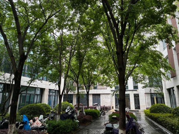 2899元的一加13T 能不能成为小屏党的梦中情机