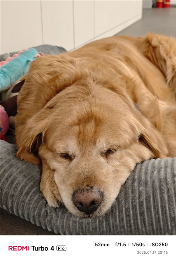 只卖1699的红米Turbo 4 Pro 但我却觉得它不太红米了