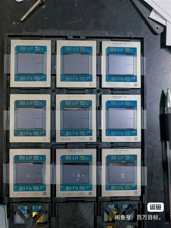 海鲜市场无奇不有！AMD锐龙AI Max+ 395处理器居然有单卖