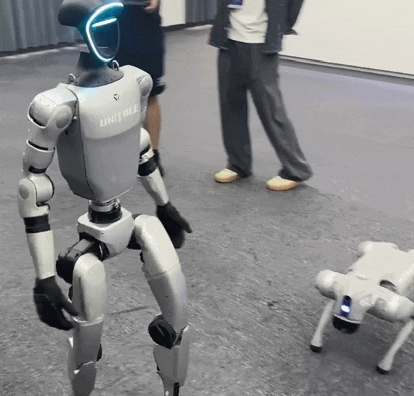 “狗啃的” 楼梯 网上酷炫的宇树 现实里是这个样的