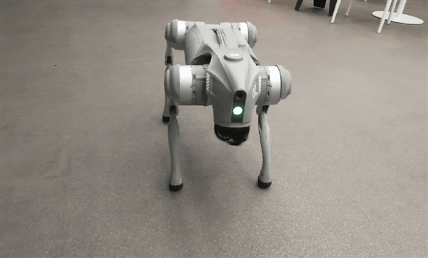 宇树科技办公楼全是“狗啃楼梯” 完整台阶难寻