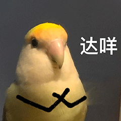 巴菲特刚退休 他的 “替身” 就来帮大家炒股了：真的吗