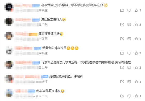 小米林斌回应目前工作：自己像半个律师加半个国际政府关系 以后爆料尽量交给王腾