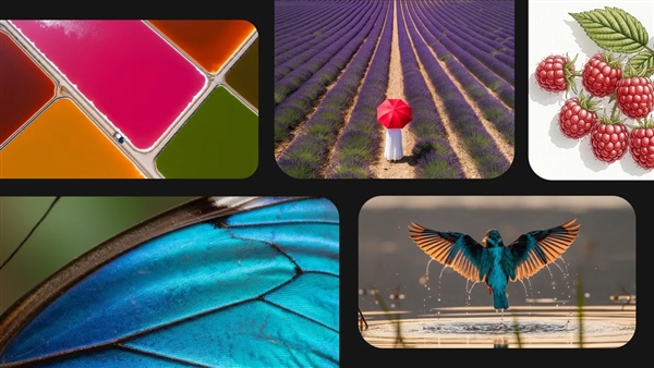 谷歌杀疯了！把AI塞进了每一个缝隙