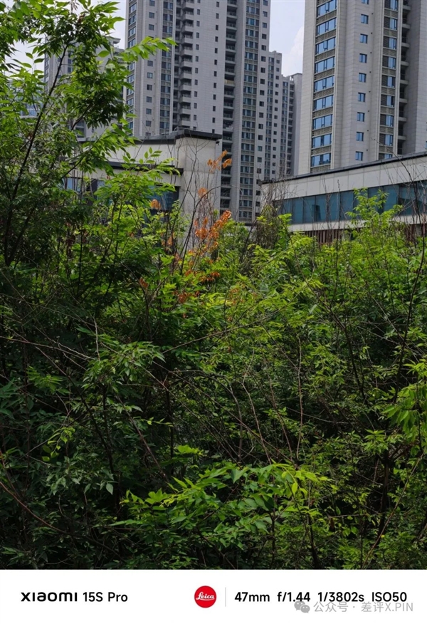 玄戒O1成了！小米15S Pro真能算一台旗舰机