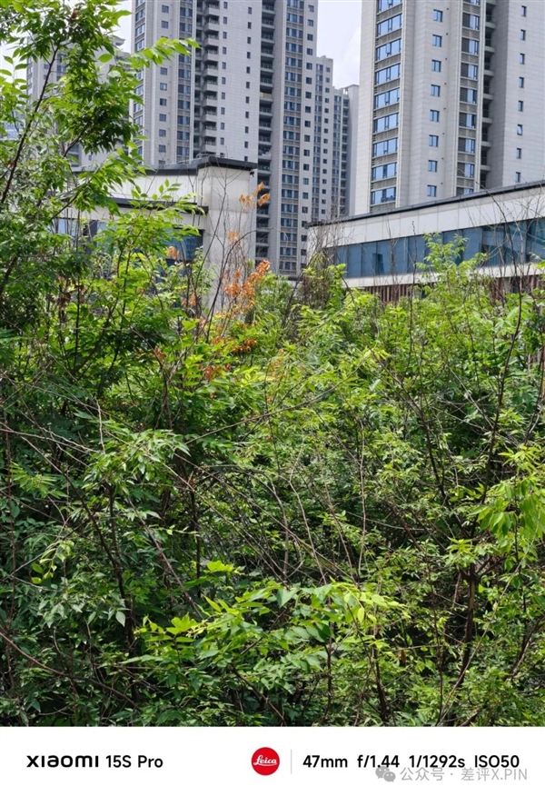 玄戒O1成了！小米15S Pro真能算一台旗舰机