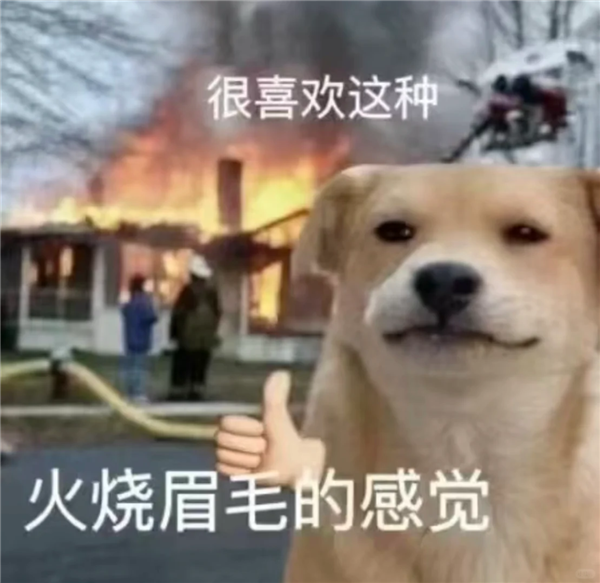 拼多多净利润缩水 结果我发现不一定是坏事