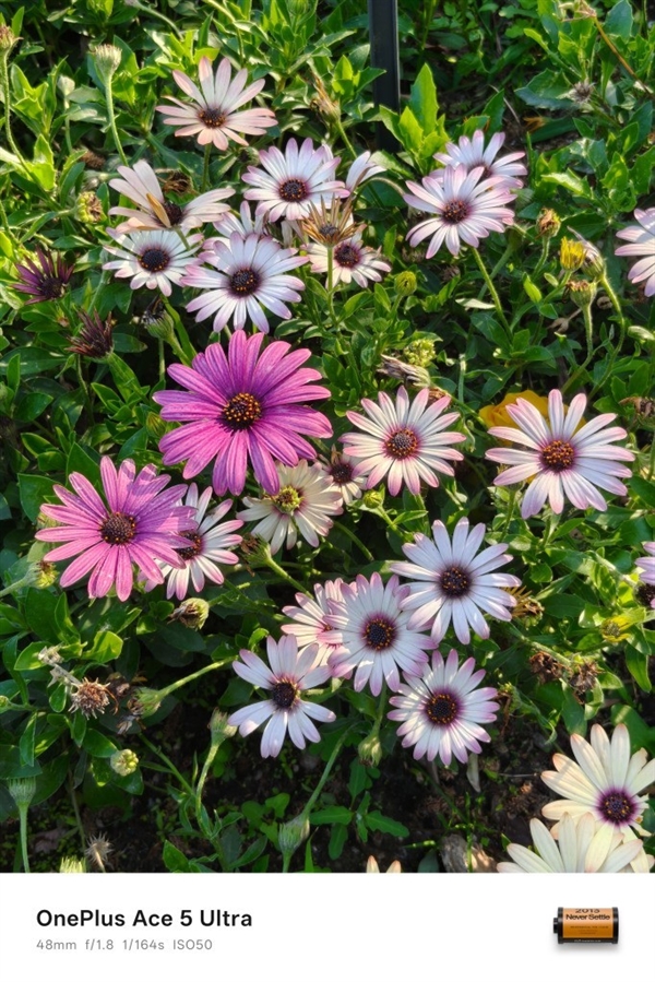 读懂1% Low帧 才知道一加Ace5至尊版有多强