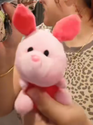 在美国人面前 爱马仕都没泡泡玛特香