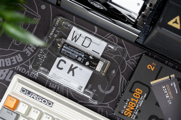 【众测】无限接近PCIe 5.0×4理论极限！WD_BLACK SN8100 SSD双平台测试