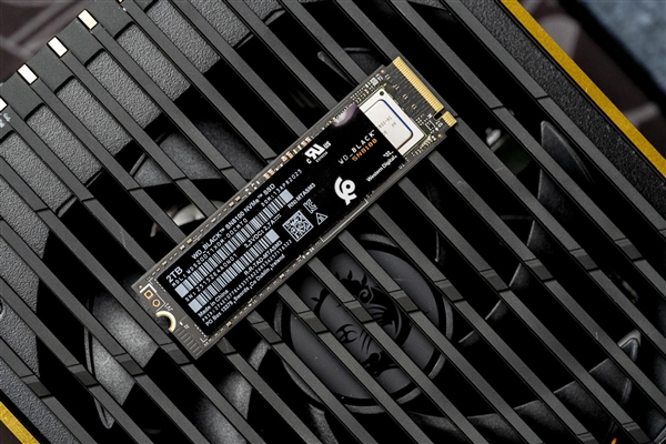 【众测】无限接近PCIe 5.0×4理论极限！WD_BLACK SN8100 SSD双平台测试