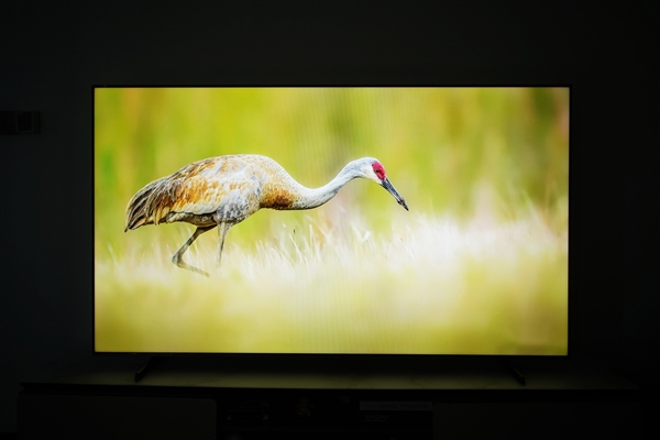 300Hz疾速高刷！海信E5Q Pro 75英寸图赏