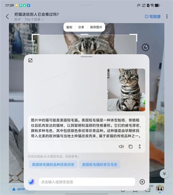 iPhone党等不来的AI 为啥安卓早早就用上了
