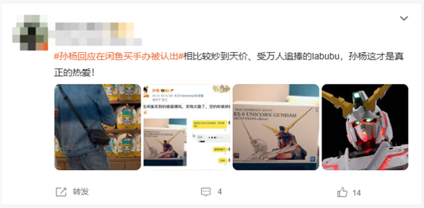 孙杨回应在闲鱼买绝版潮玩被认出 网友：比买Labubu强