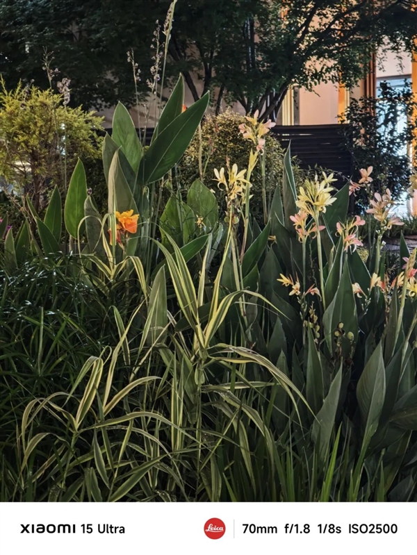 敢卖到一万块的华为超大杯 影像到底能不能打