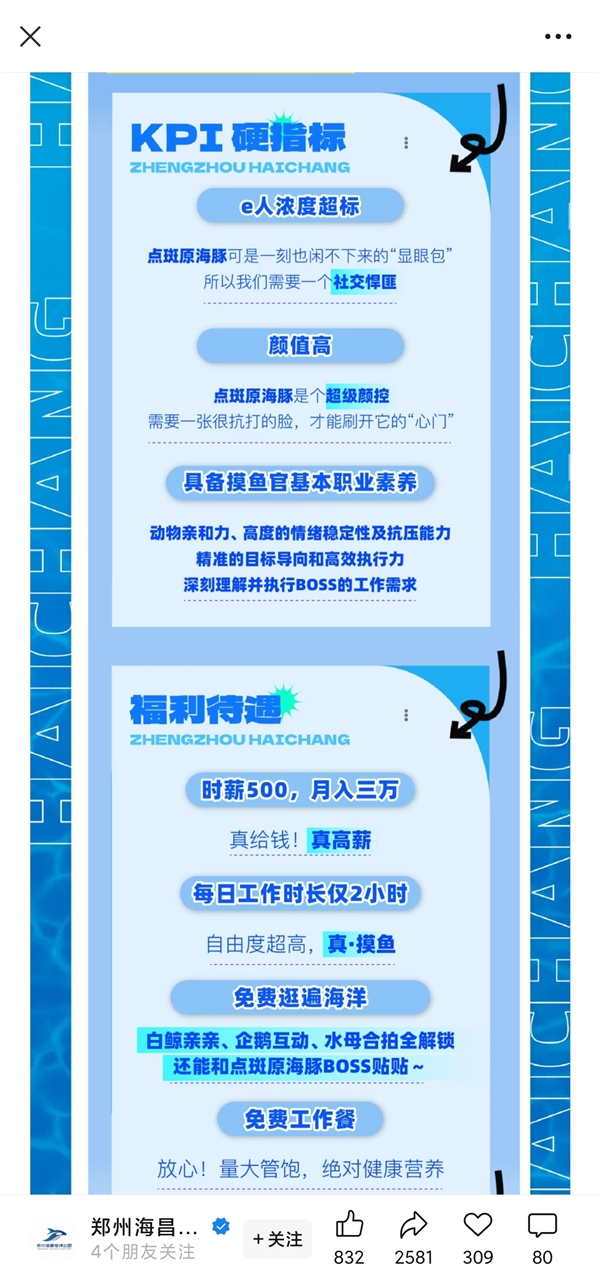 海洋公园月薪3万招摸鱼官：每天工作2小时