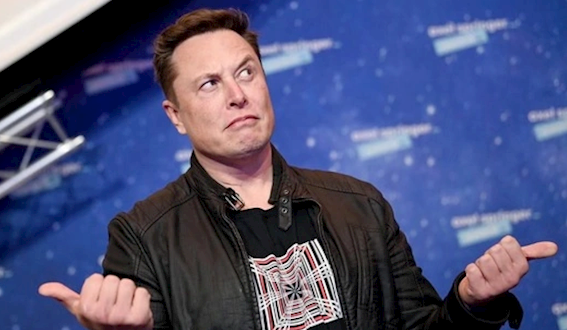 欧盟拟对马斯克X平台收购案开罚单：上限达年收入6%