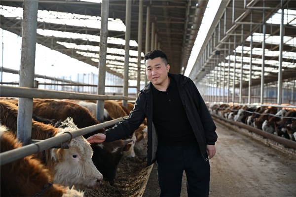 很会做生意的晋商、闽商和温商 正在拼多多上玩很新的东西