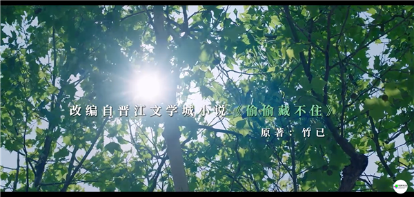 “未经授权拍摄微短剧” 晋江要求哇唧唧哇停止侵权