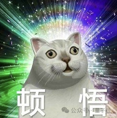 稚晖君 昨夜冲进了科创板