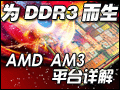 为DDR3而生 AMD AM3平台详解